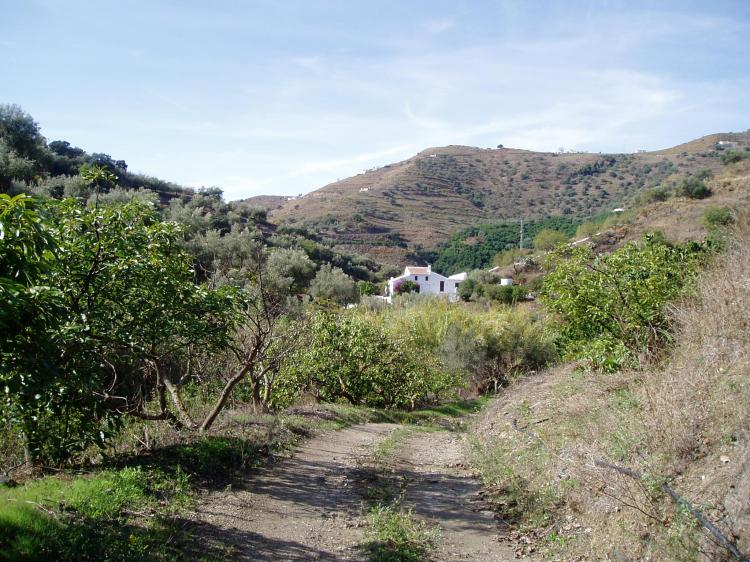 typical track in the countryside