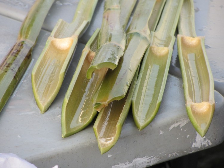 sharpened bamboo skewers for the sardines