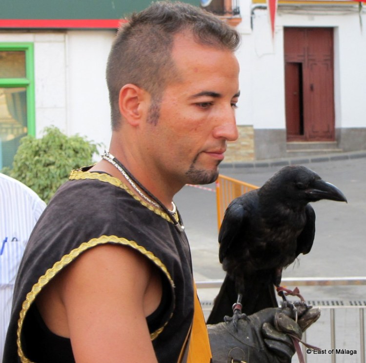 Bird of prey handler at the medieval market in Torrox, east of Malaga
