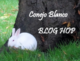 Conejo Blanco BLOG HOP Photo Challenge