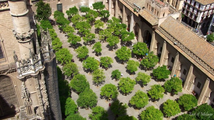 Orange Tree Square from the Giralda Tower, Seville