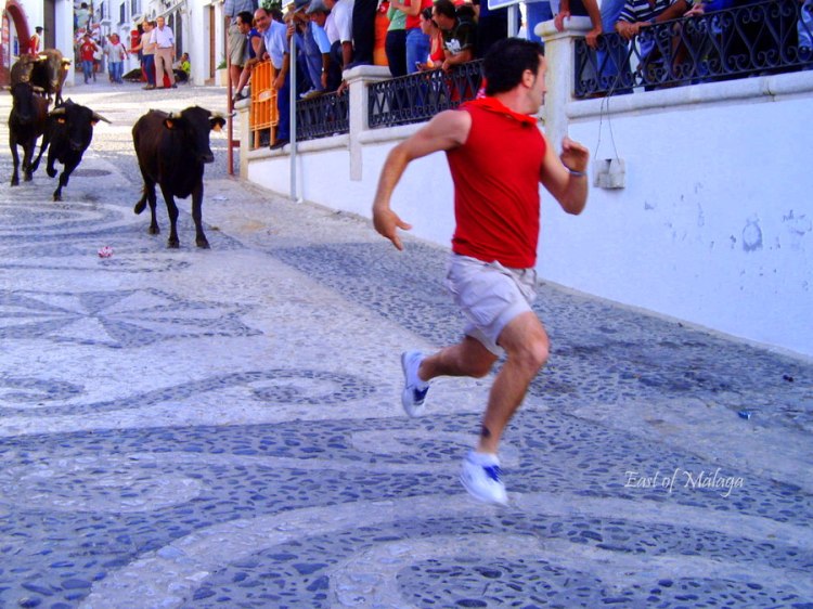 Bull run in Frigiliana, Spain