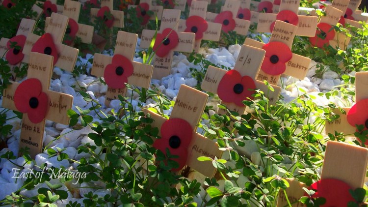 Poppies adorn wooden crosses in The English Cemetery, Málaga, Spain