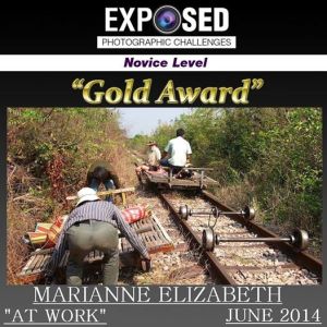 gold award
