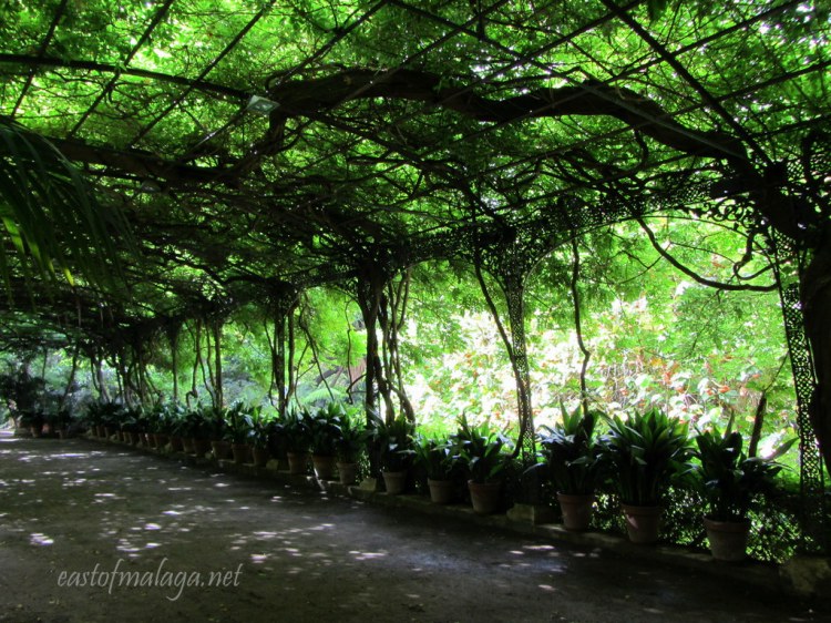 Wisteria Dining Arbour, Jardin Concepcion, Malaga