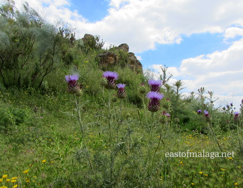 Zalia castle, near Alcaucin, Spain