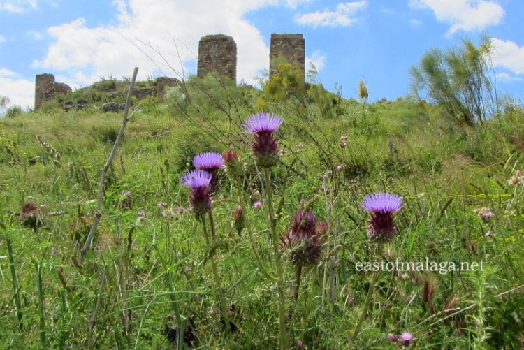 Zalia castle near Zafarraya, Spain 