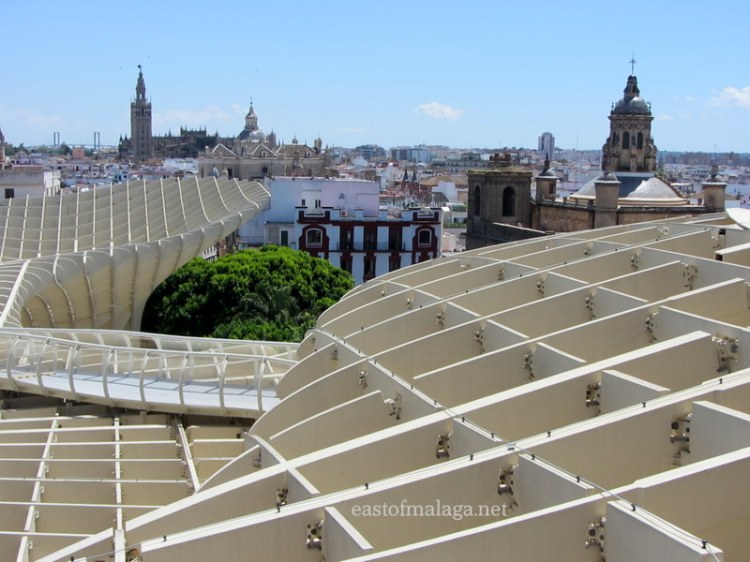 Giralda, Sevilla cathedral and setas