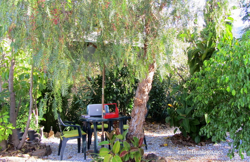 My office under the trees