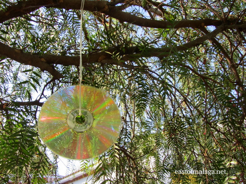 old CD catching the sunlight in a tree