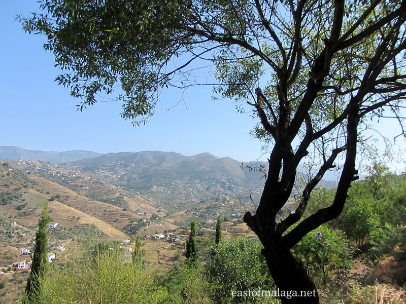 wandering around the garden