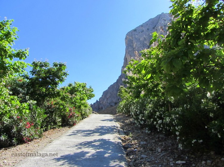 Pathway to the railway