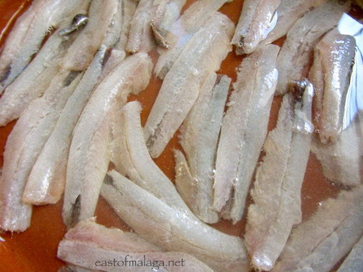 Boquerones soaked in white vinegar and sprinkled with salt 