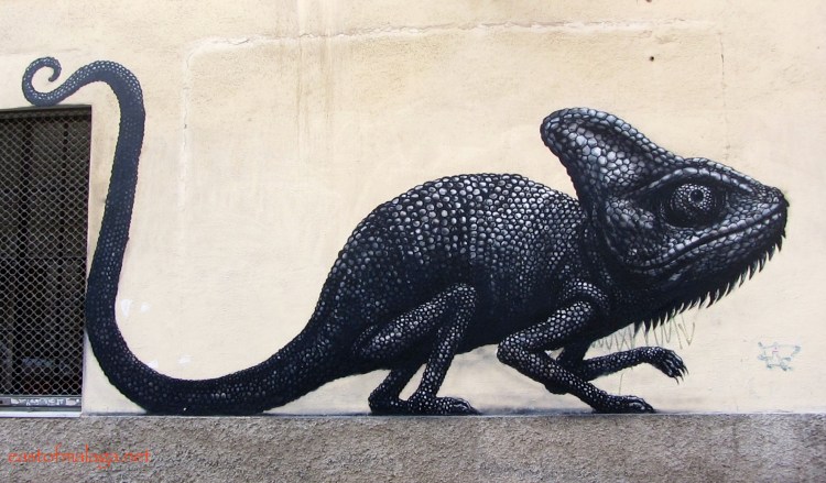 Street Art in Malaga by ROA  - Málaga Arte Urbano en el SoHo (MAUS)
