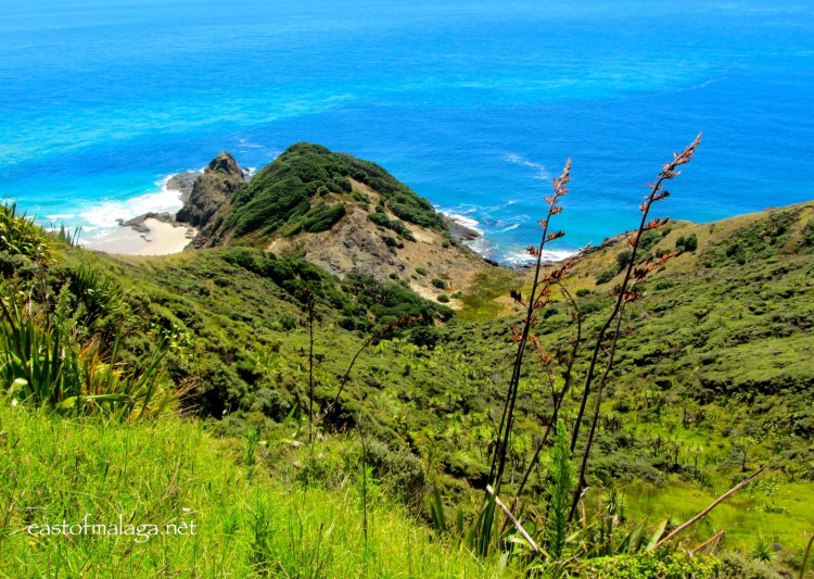 Te Reinga, New Zealand