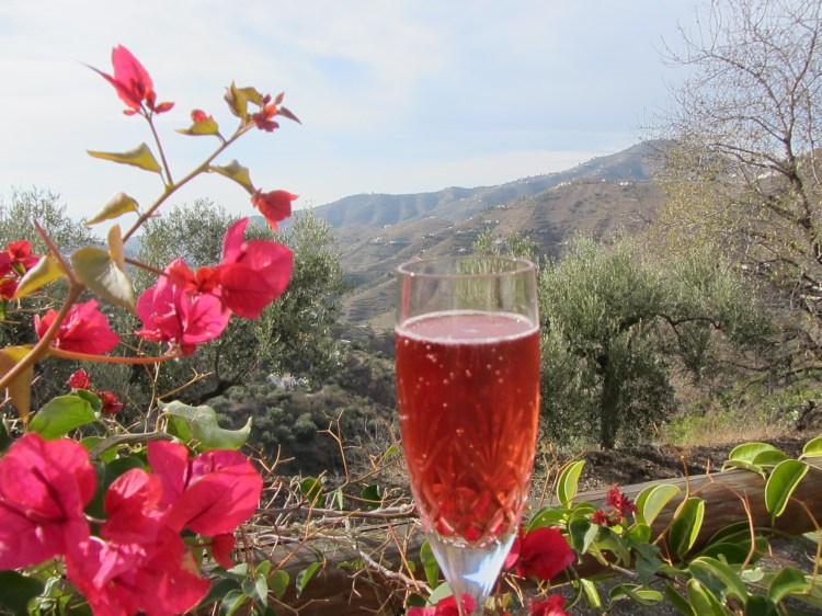 Pink bubbles on Christmas Eve
