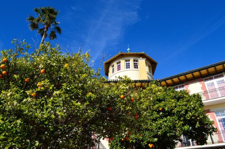 Orange trees at Hotel Reina Cristina, Algeciras, Spain