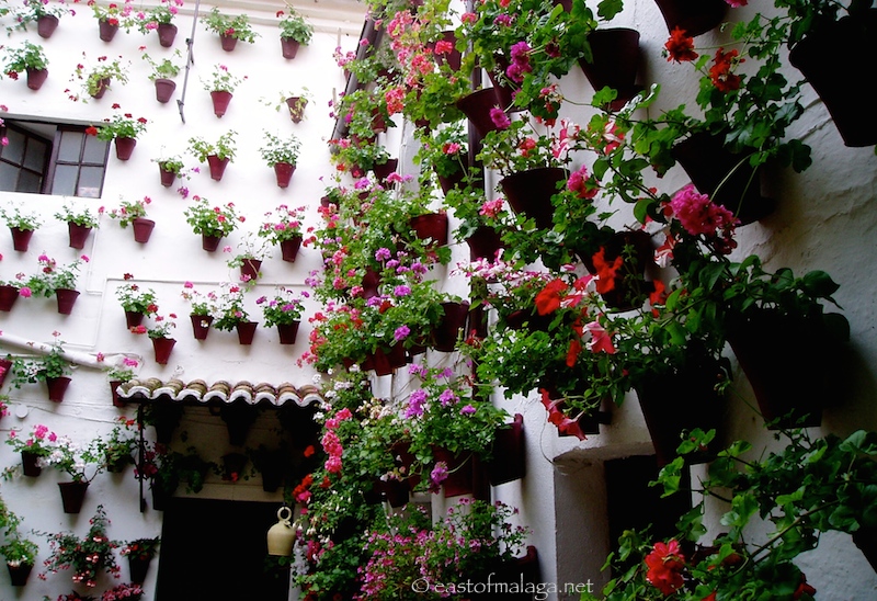 Patio Festival, Cordoba, Spain