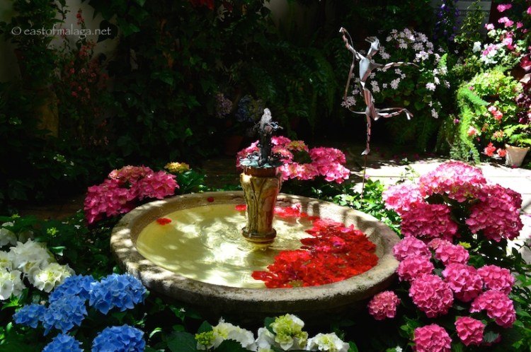 Patio Festival, Cordoba , Spain