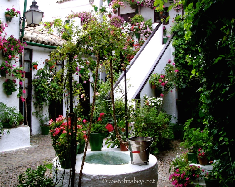 Patio Festival, Cordoba, Spain