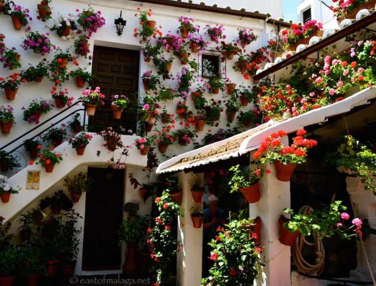 Patio Festival, Cordoba , Spain