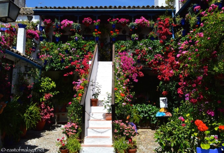 Patio Festival, Cordoba , Spain
