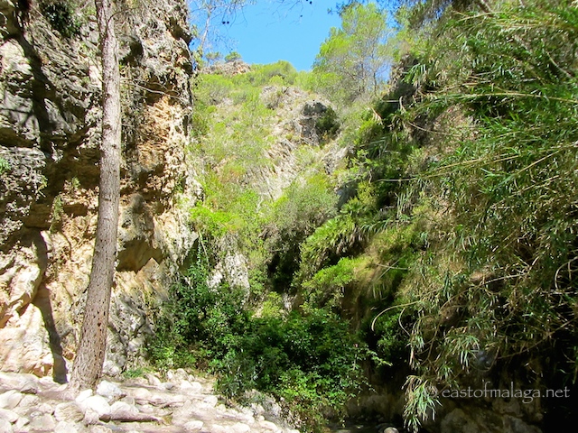Gorgeous scenery on the River Chillar walk, Nerja