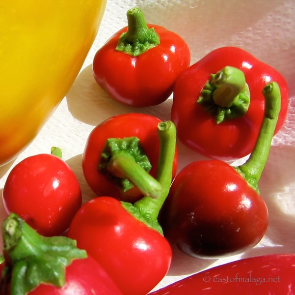 Home-grown red chilli peppers