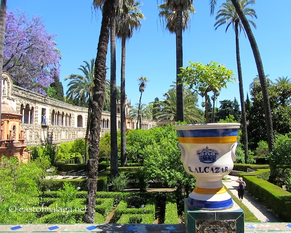 Alcazar gardens, Seville.
