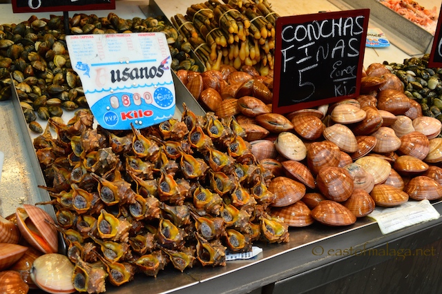 Fresh seafood for sale in Atarazanas market
