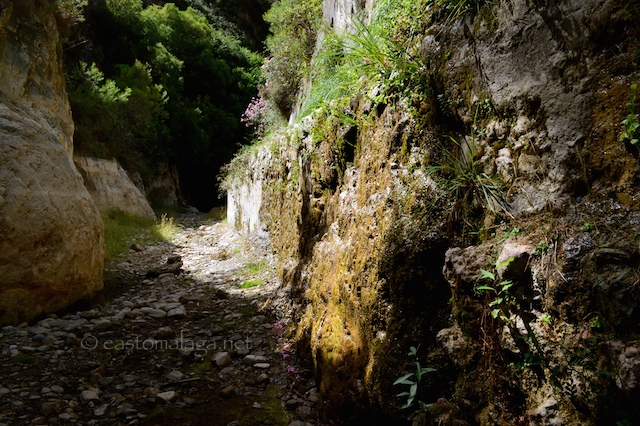 La Rahige, near Canillas de Aceituno