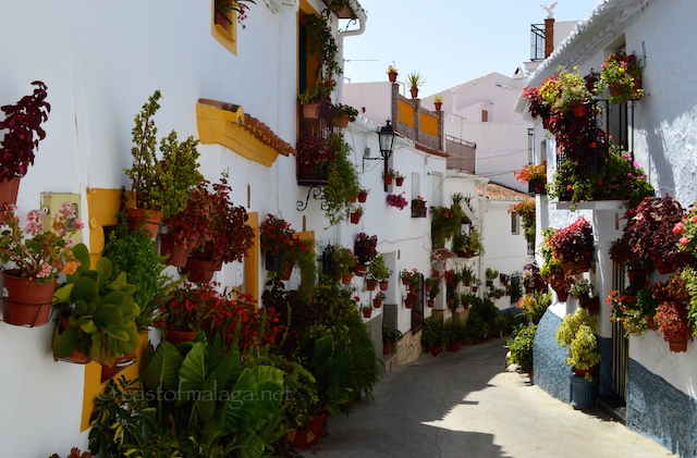 Flowerpots in Canillas de Aceituno
