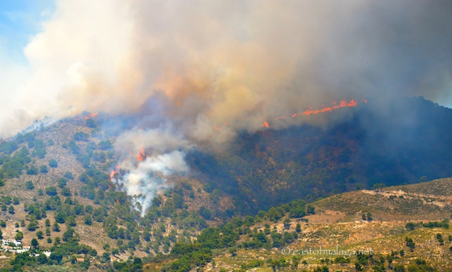 Competa fire June 29th 2014