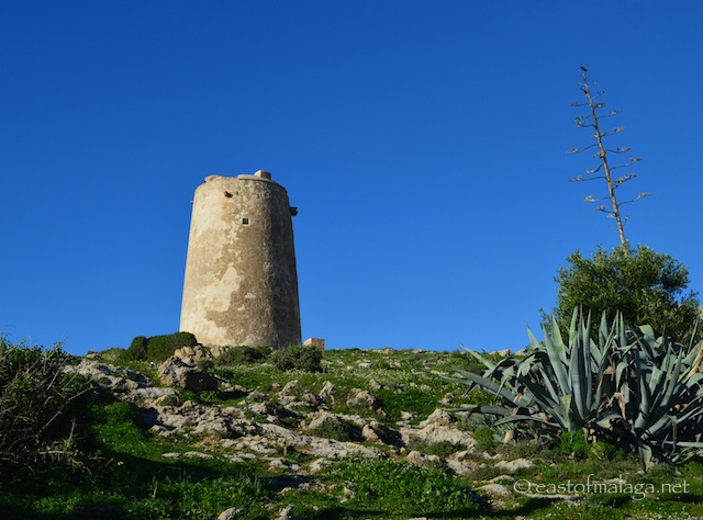 El Torre del las Palomas, La Arana