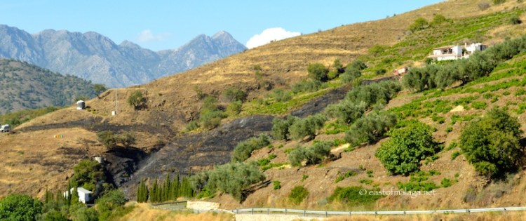 The fire is out, but the fire-engine is still near the untouched house