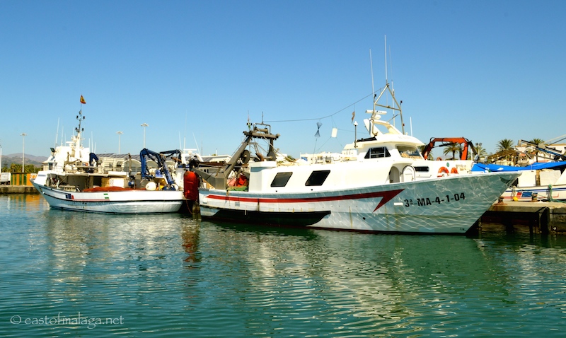 Fishing boats in Caleta harbour