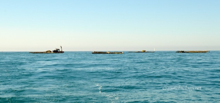 Dark objects out to sea off Torre del Mar